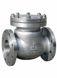 Cast steel flanged_threaded swing check valve